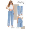SURPRISE 4081