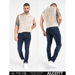 ALCOTT  138