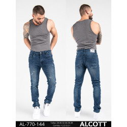 ALCOTT 144