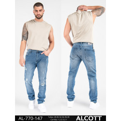 ALCOTT 147